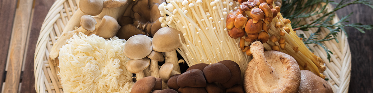 旬のきのこを美味しく健康に食べよう!